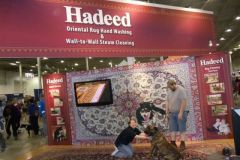 Picture197
