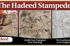 HADstampedeBEFafter0612