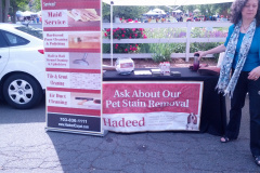 Viva Vienna Festival